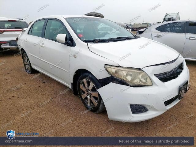Auction photo