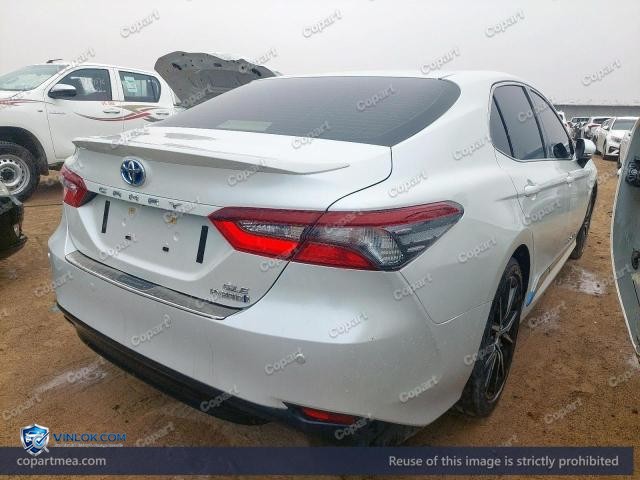 Auction photo