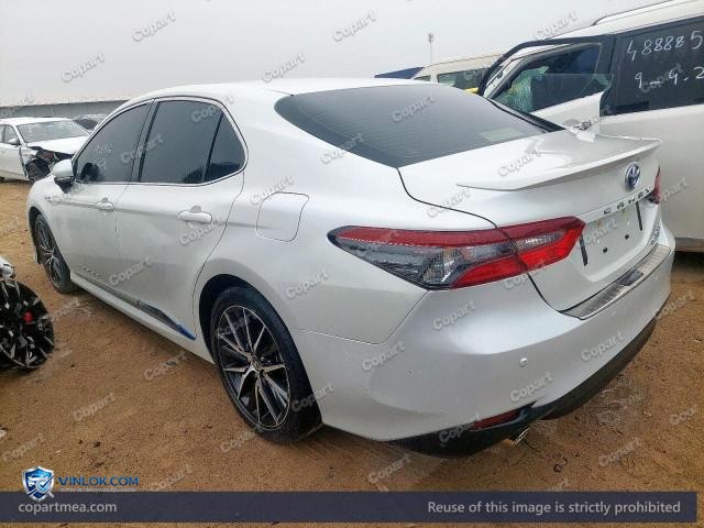 Auction photo