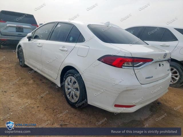 Auction photo