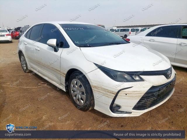 Auction photo