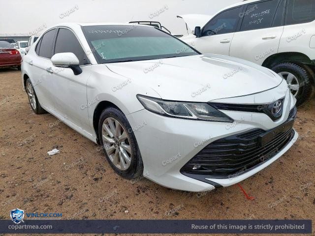 Auction photo