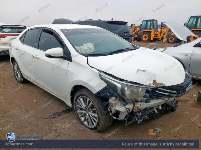 Auction photo