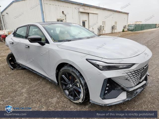 2025 CHAN UNI-V — Lot 49348796 auction photo