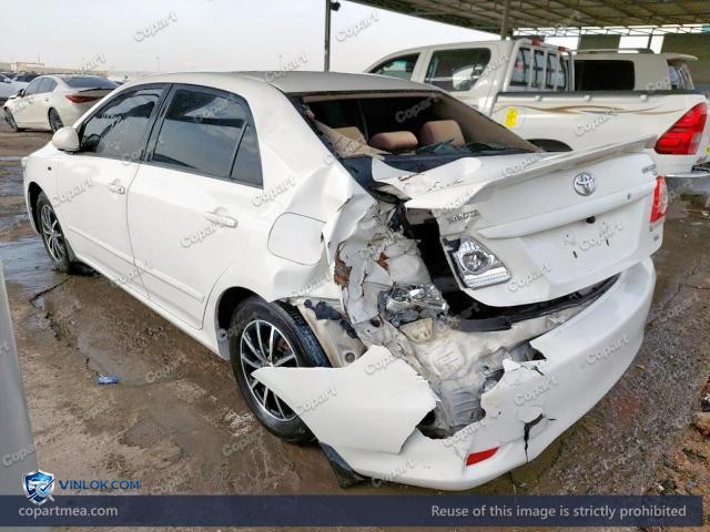 Auction photo