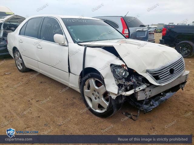 Auction photo