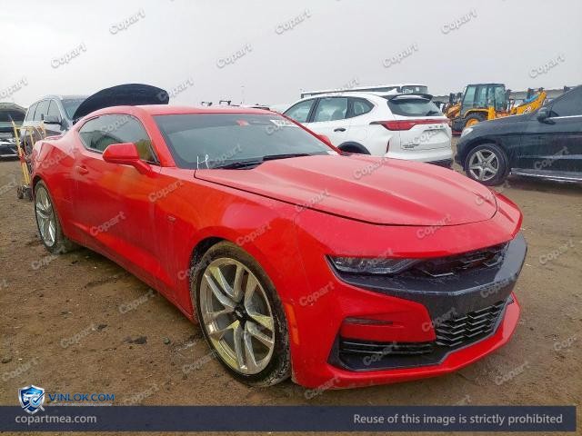 Auction photo