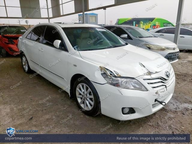 Auction photo