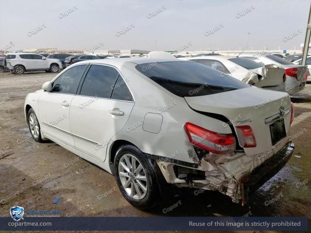 Auction photo