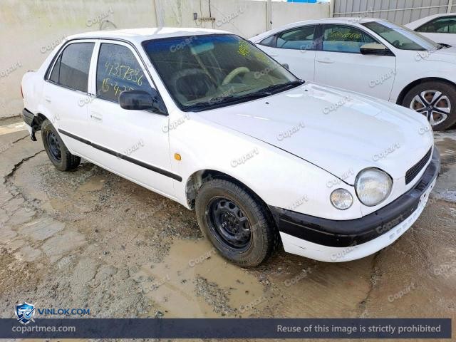 Auction photo