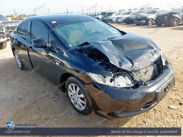 Auction photo