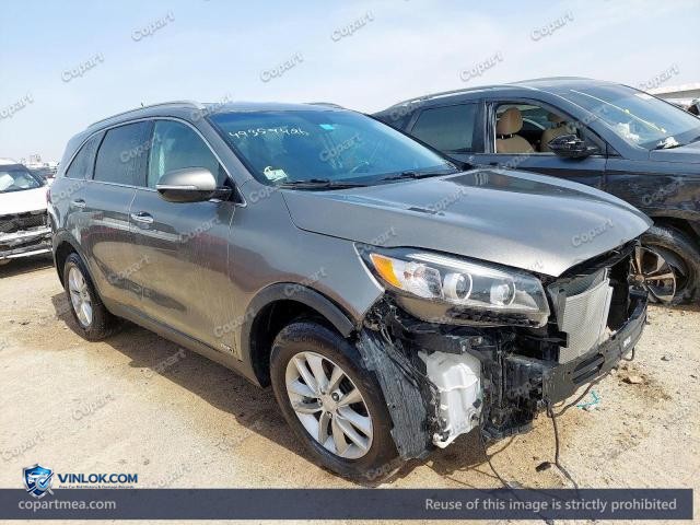 Auction photo