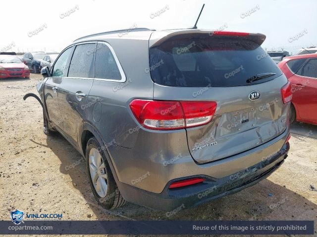 Auction photo