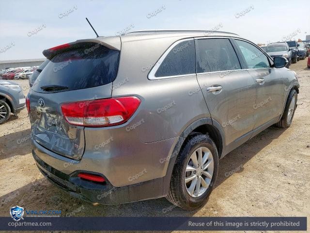 Auction photo