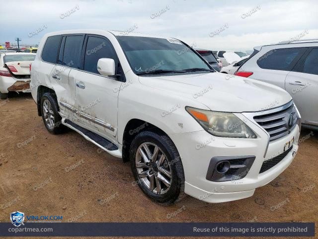 Auction photo