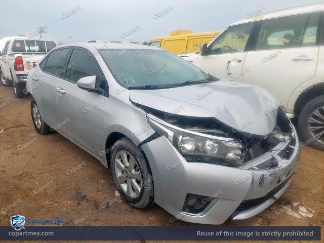 Auction photo