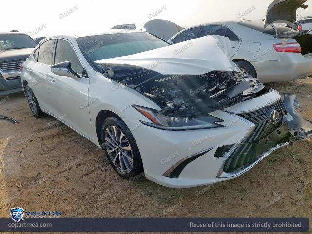 Auction photo