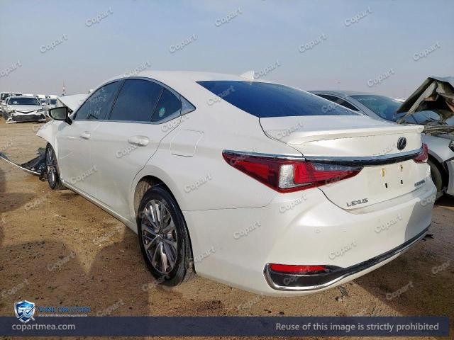 Auction photo