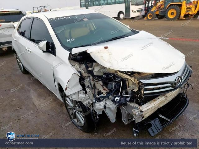 Auction photo