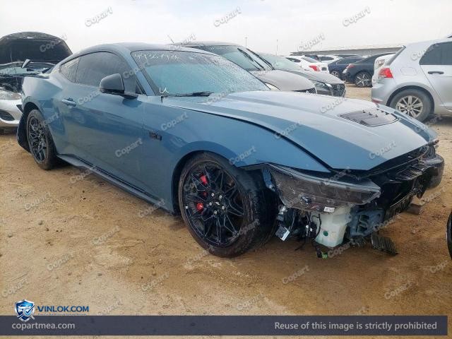 Auction photo
