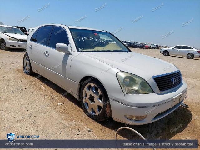 Auction photo