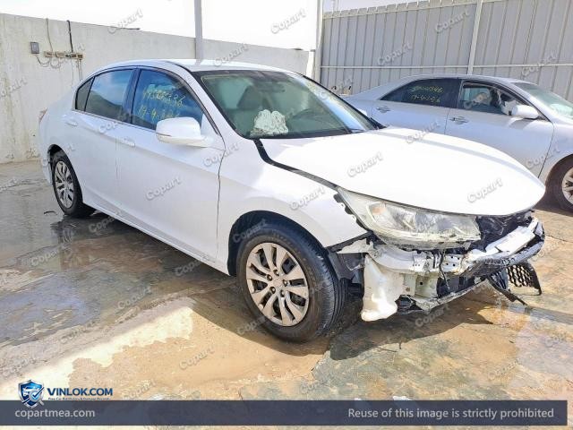 Auction photo