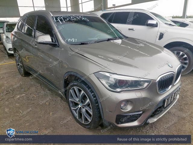 Auction photo