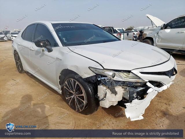 Auction photo