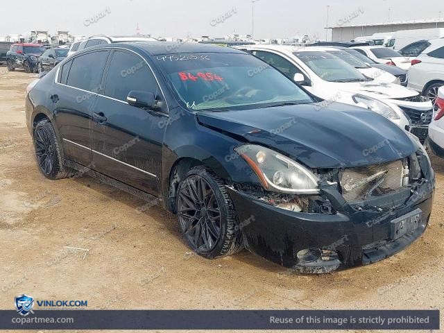 Auction photo