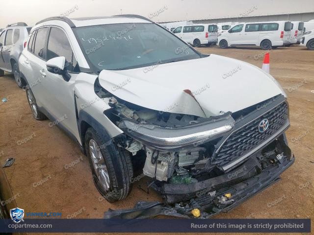 Auction photo