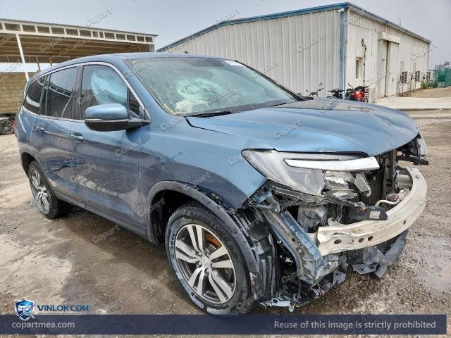 Auction photo