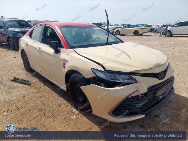 Auction photo