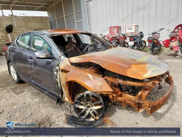 Auction photo