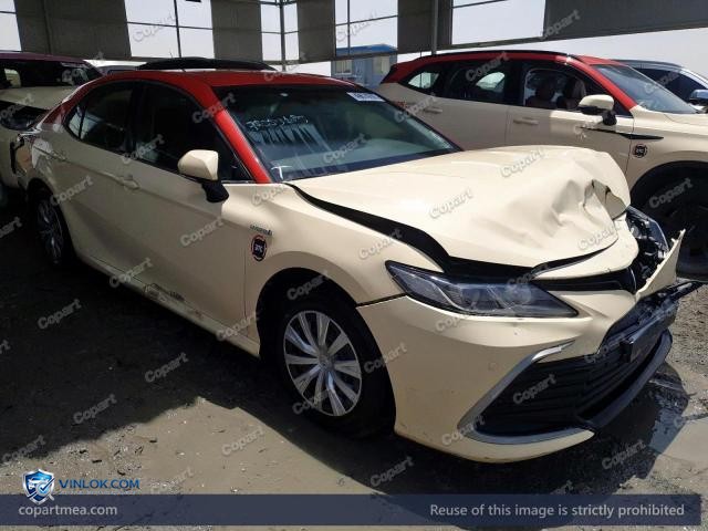 Auction photo