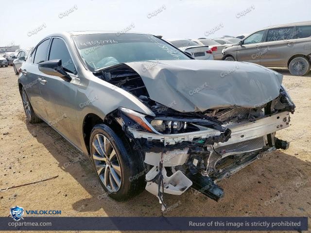 Auction photo
