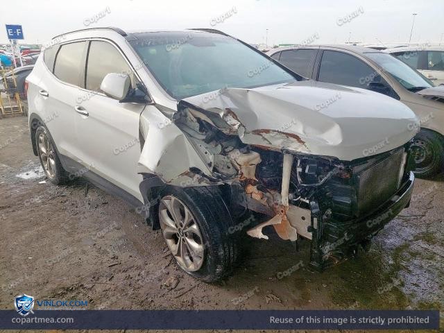 Auction photo