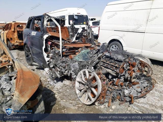 Auction photo