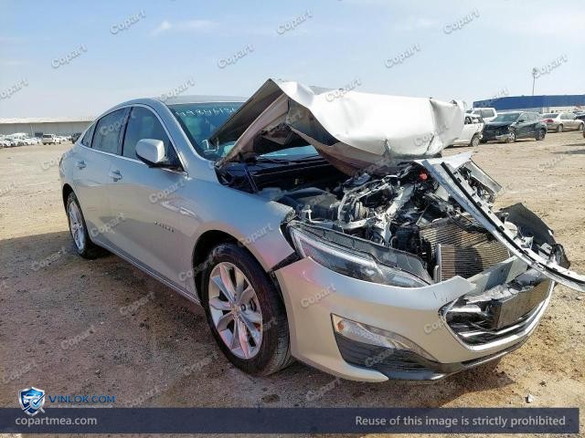 Auction photo