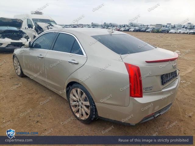 Auction photo