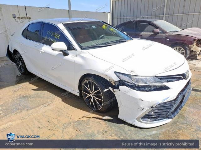 Auction photo