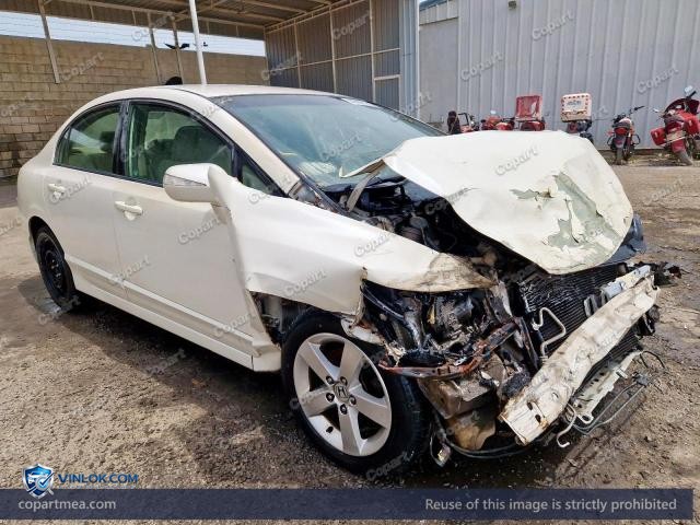 Auction photo