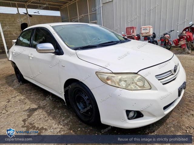 Auction photo