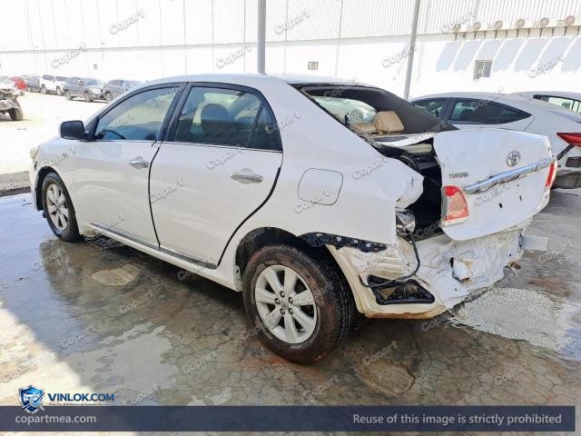 Auction photo