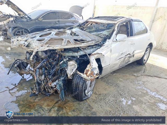 Auction photo