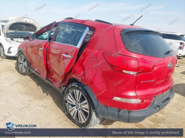 Auction photo