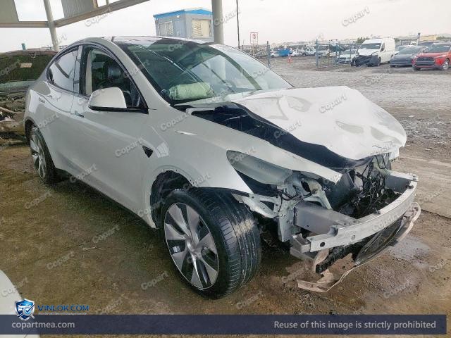 Auction photo