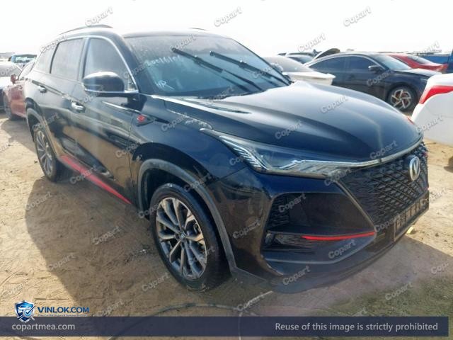2023 CHAN CS75 — Lot 50016106 auction photo