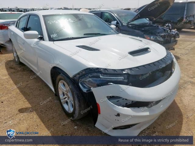 Auction photo