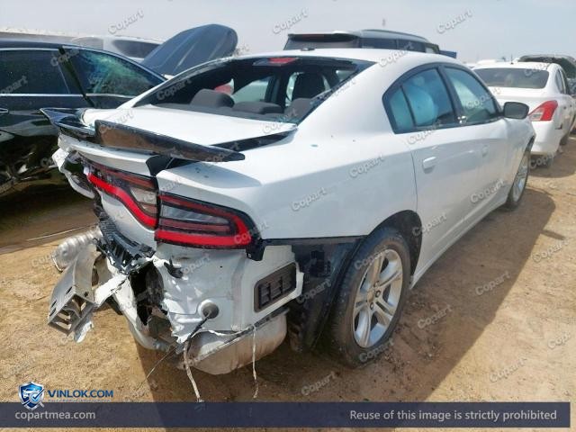 Auction photo