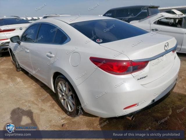 Auction photo